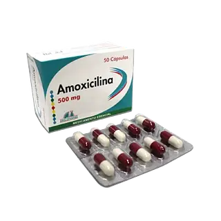 Amoxicilina 500 Mg Cap * 50 Anglopharma