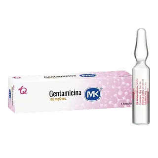 Gentamicina 160mg Iny X 1 Amp Mk Tq
